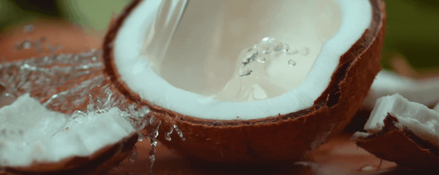 WILDRY detergent sheets are plant-powered. The primary ingredient used is coconut oil. It is non-toxic, vegan, hypoallergenic, and powerful.